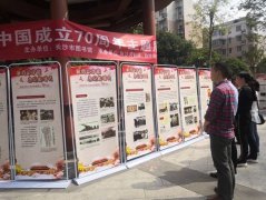 我支部参观新中国成立70周年主题展及观影《我和我的祖国》